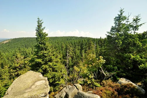 Skalnik - najwyższy szczyt Rudaw Janowickich