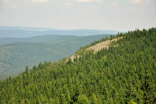 Skalnik - najwyższy szczyt Rudaw Janowickich