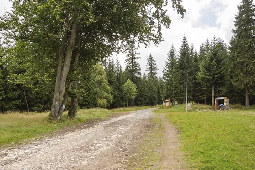 Wędrówkę na Jagodną rozpoczynamy niebieskim szlakiem