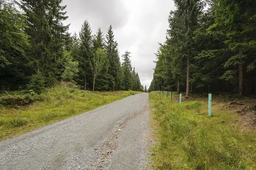 Jagodna i jej dwa wierzchołki – szlak, zdjęcia oraz widoki, które warto zobaczyć!