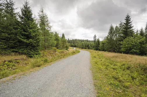 Jagodna i jej dwa wierzchołki – szlak, zdjęcia oraz widoki, które warto zobaczyć!