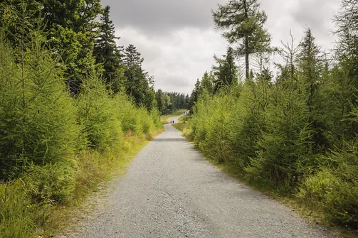 Jagodna i jej dwa wierzchołki – szlak, zdjęcia oraz widoki, które warto zobaczyć!