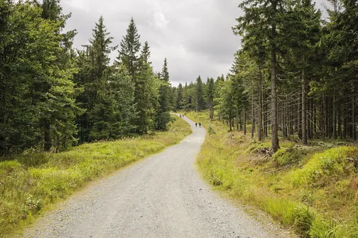 Jagodna i jej dwa wierzchołki – szlak, zdjęcia oraz widoki, które warto zobaczyć!