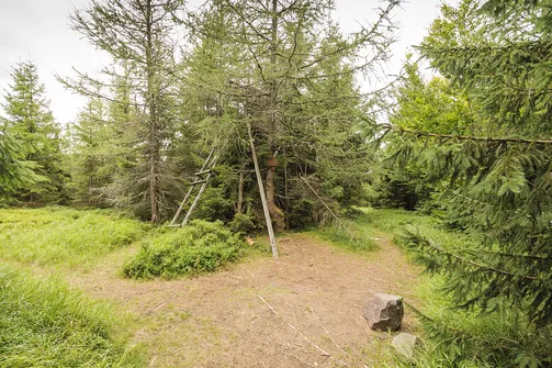 Szczyt Jagodnej Północnej