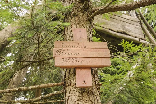 Jagodna Północna - 985m n.p.m.