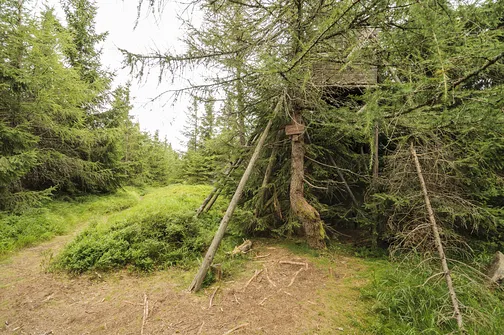 Jagodna i jej dwa wierzchołki – szlak, zdjęcia oraz widoki, które warto zobaczyć!