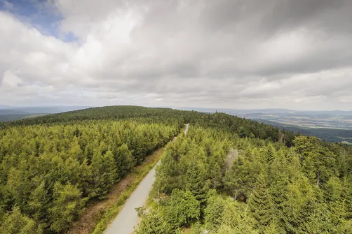 Widok z Jagodnej w kierunku północnym - zalesione wzniesienie to Jagodna Północna