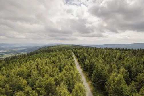 Widok z Jagodnej na południe