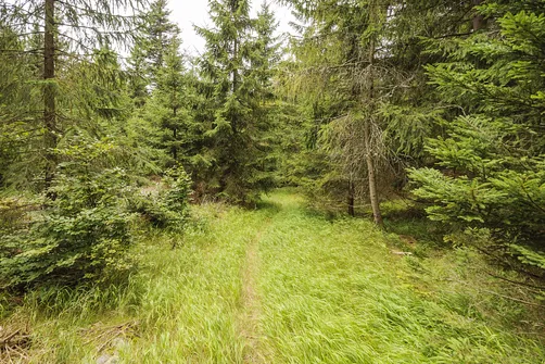 Jagodna i jej dwa wierzchołki – szlak, zdjęcia oraz widoki, które warto zobaczyć!