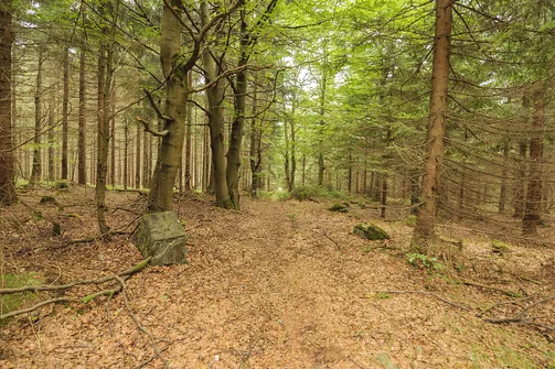 Jagodna i jej dwa wierzchołki – szlak, zdjęcia oraz widoki, które warto zobaczyć!