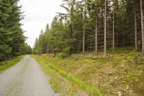 Jagodna i jej dwa wierzchołki – szlak, zdjęcia oraz widoki, które warto zobaczyć!