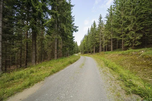 Jagodna i jej dwa wierzchołki – szlak, zdjęcia oraz widoki, które warto zobaczyć!