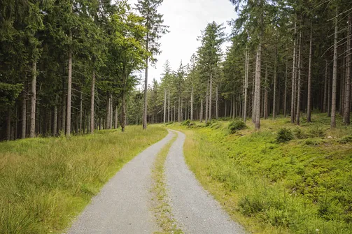Jagodna i jej dwa wierzchołki – szlak, zdjęcia oraz widoki, które warto zobaczyć!