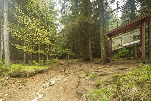 Koniec utwardzonej drogi. Tutaj skręcamy w prawo i zaczyna się trudniejszy odcinek podejścia.