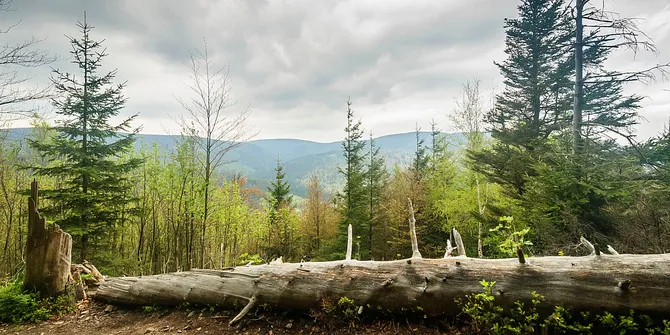 Krótki przystanek. Między drzewami wyłaniają się szczyty Gór Złotych.