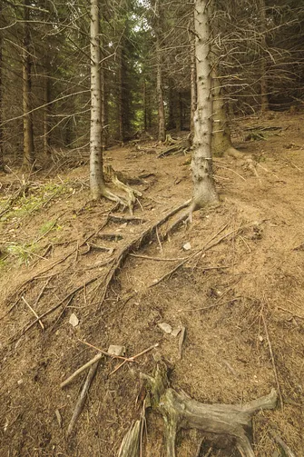 Ostatnie czterdzieści metrów. Trochę wysiłku i będziemy na szczycie.