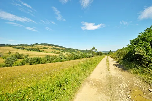 Początkowy odcinek marszu do Przełęczy Beskid.