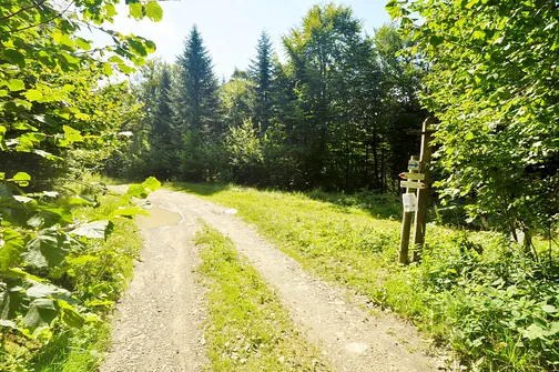 Polanka na Przełęczy Beskid, gdzie należy skręcić w lewo na szlak na Lackową.