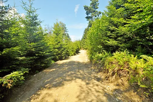 Lackowa - najwyższy szczyt w polskiej części Beskidu Niskiego