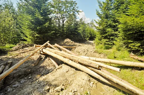 Lackowa - najwyższy szczyt w polskiej części Beskidu Niskiego