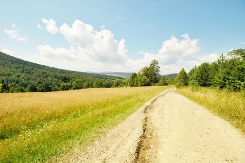 Lackowa - najwyższy szczyt w polskiej części Beskidu Niskiego