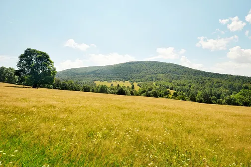 Lackowa - najwyższy szczyt w polskiej części Beskidu Niskiego