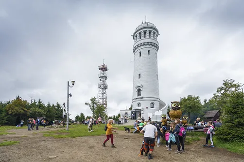 Rzeźby sów na Wielkiej Sowie