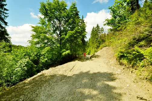 Błotnisty odcinek drogi