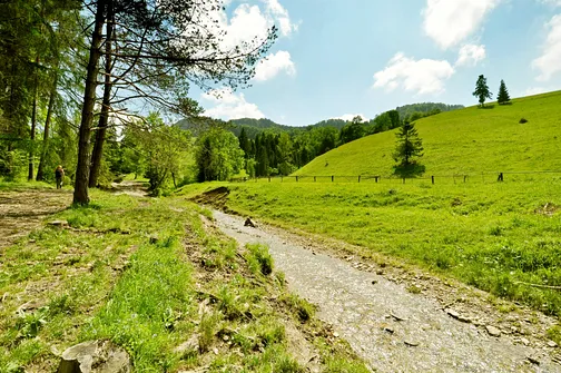 Miejscami szlak prowadził wzdłuż górskiego potoku