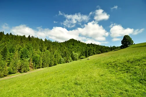 Wysoka - najwyższe wzniesienie Pienin