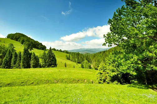 Wysoka - najwyższe wzniesienie Pienin