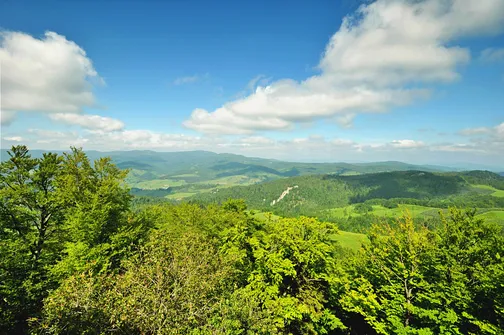 Wysoka - najwyższe wzniesienie Pienin