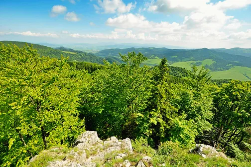 Wysoka - najwyższe wzniesienie Pienin