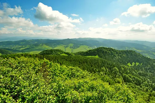 Wysoka - najwyższe wzniesienie Pienin