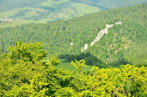 Wysoka - najwyższe wzniesienie Pienin