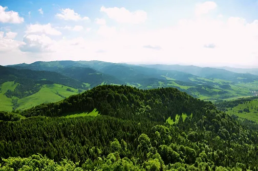 Wysoka - najwyższe wzniesienie Pienin