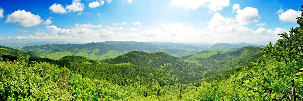 Panorama ze szczytu Wysokiej