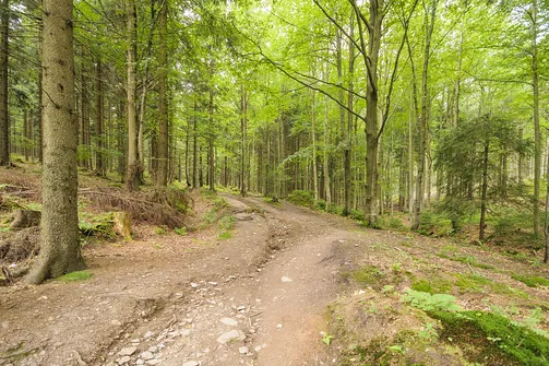 Orlica - najwyższe wzniesienie w polskiej części Gór Orlickich