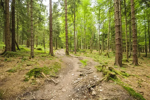 Orlica - najwyższe wzniesienie w polskiej części Gór Orlickich