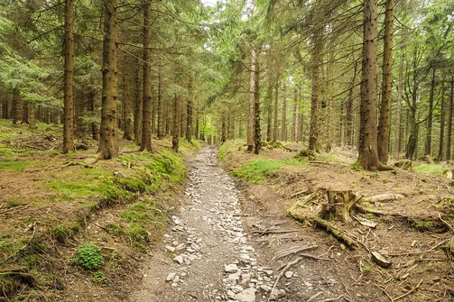 Orlica - najwyższe wzniesienie w polskiej części Gór Orlickich