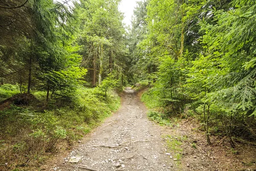 Orlica - najwyższe wzniesienie w polskiej części Gór Orlickich