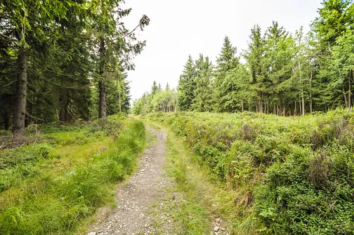 Orlica - najwyższe wzniesienie w polskiej części Gór Orlickich