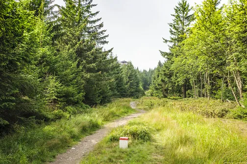 Orlica - najwyższe wzniesienie w polskiej części Gór Orlickich