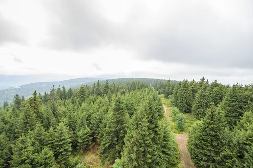 Orlica - najwyższe wzniesienie w polskiej części Gór Orlickich