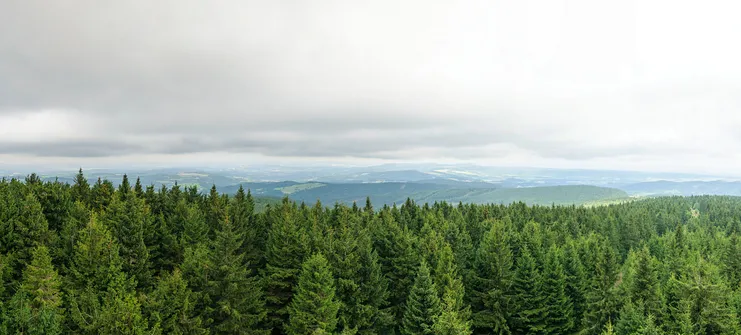 Orlica - najwyższe wzniesienie w polskiej części Gór Orlickich