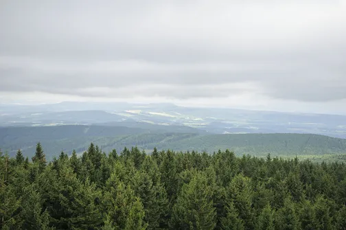 Orlica - najwyższe wzniesienie w polskiej części Gór Orlickich
