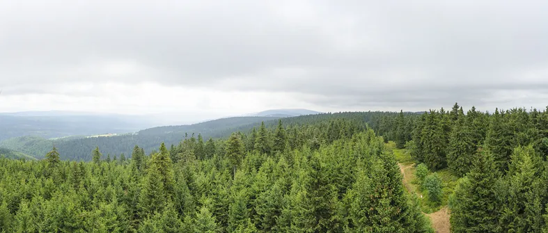 Orlica - najwyższe wzniesienie w polskiej części Gór Orlickich