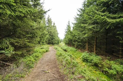 Orlica - najwyższe wzniesienie w polskiej części Gór Orlickich
