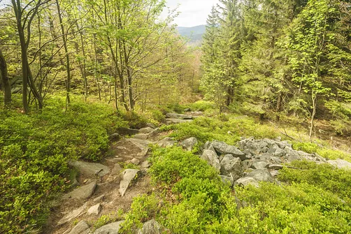 … po kilkudziesięciu metrach jest już bardziej stromo.