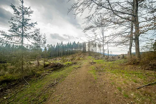 Po kolejnym kwadransie wchodzimy na otwarty teren.